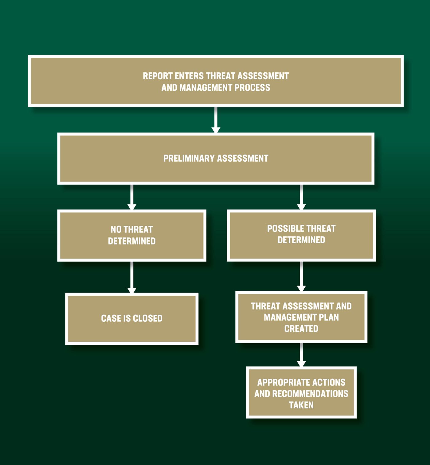 Reporting Process – Threat Assessment And Management